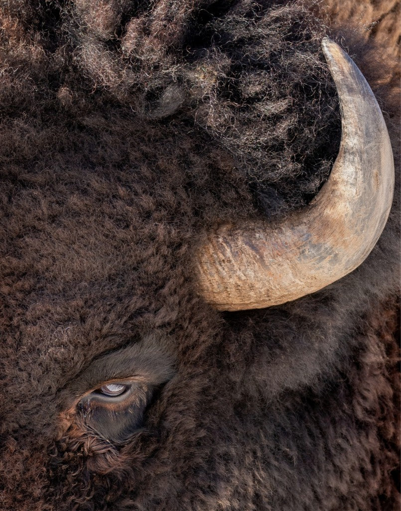 Bullseye