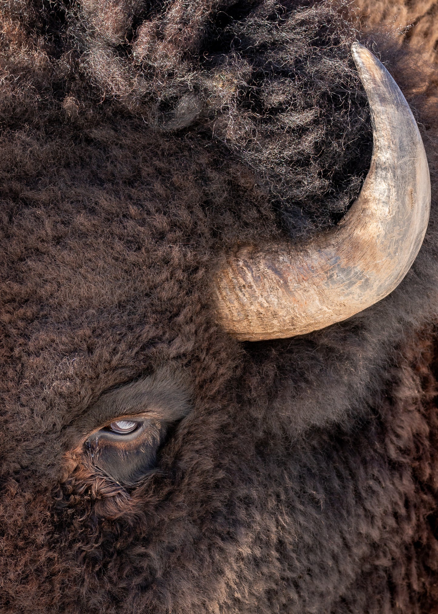 Bullseye