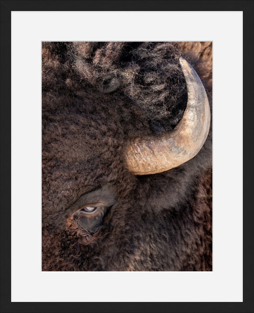 Bullseye