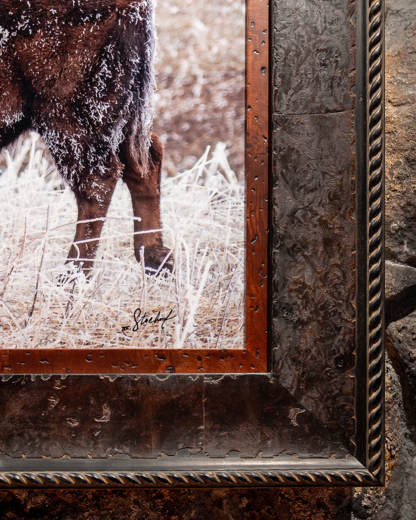 Frosty Bison - Artist Proof