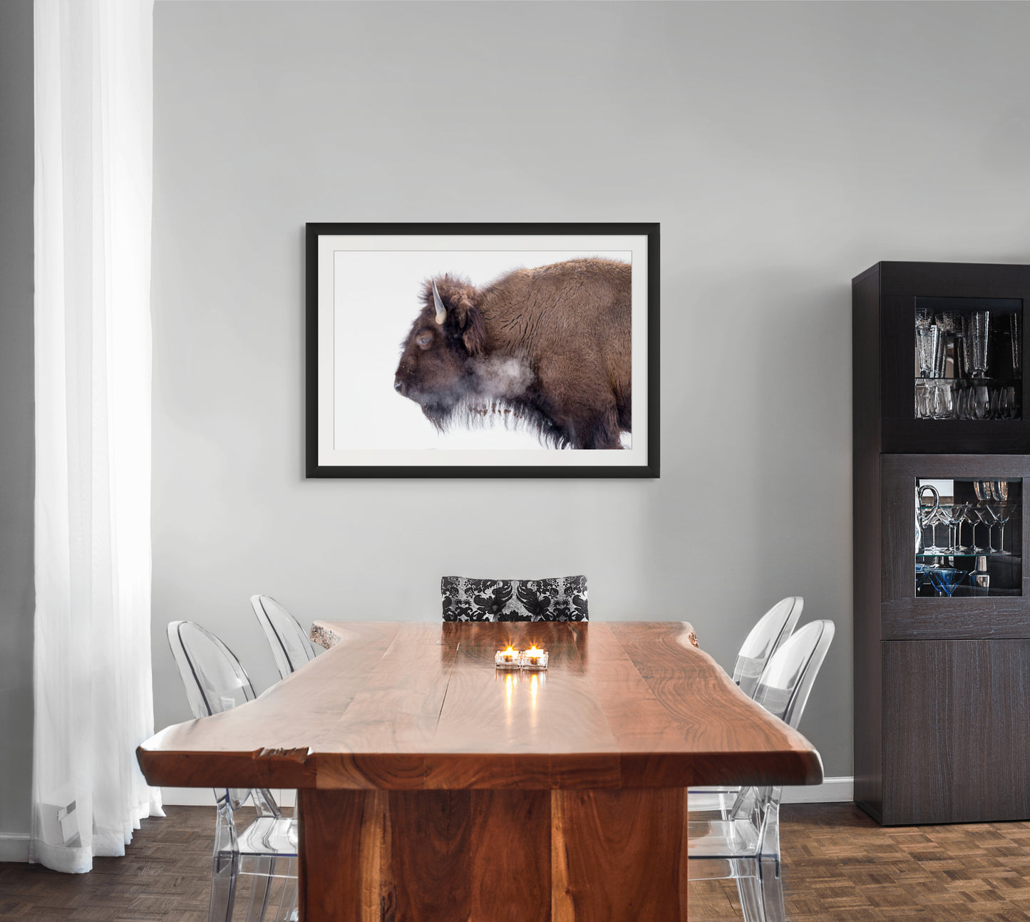 Bison on White